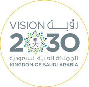 Vision 2030